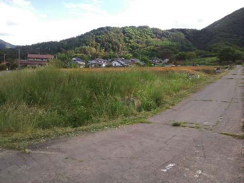 1371191214518.jpg image