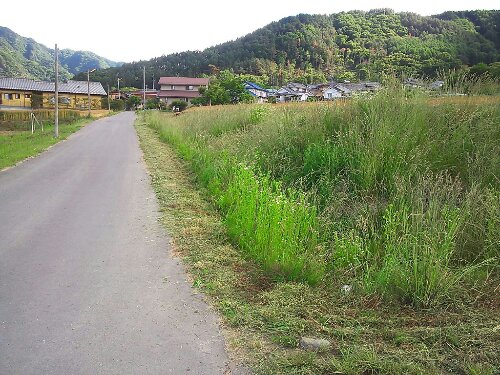1371191230591.jpg image