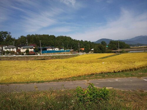 1411436459855.jpg image